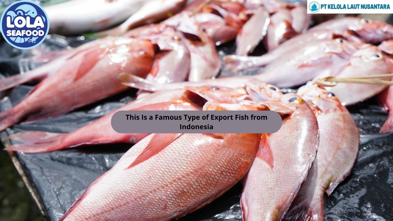 This Is a Famous Type of Export Fish from Indonesia